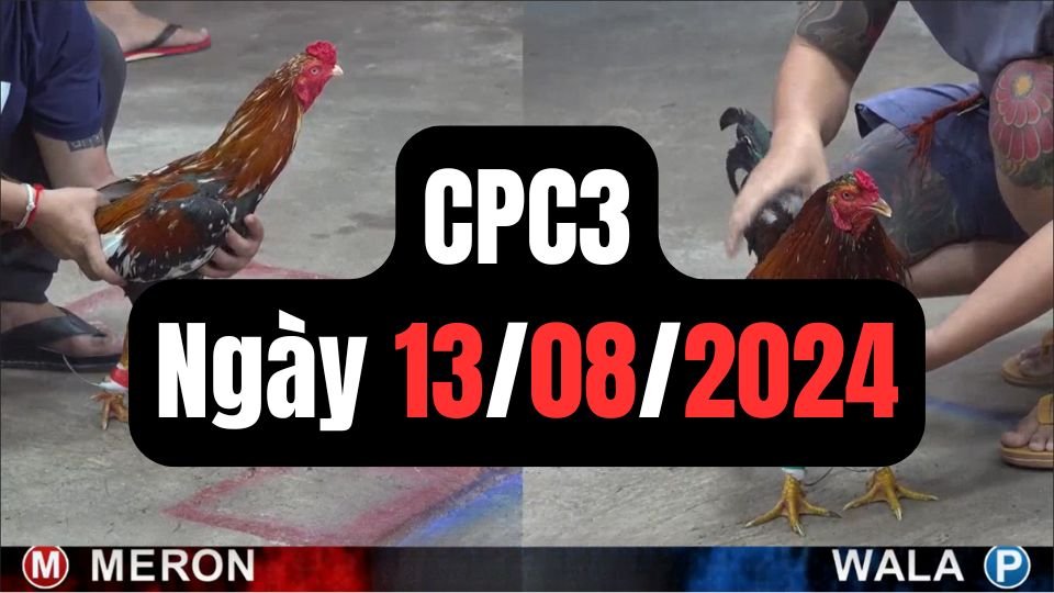 Trực tiếp đá gà thomo hôm nay CPC3 date 13/08/2024