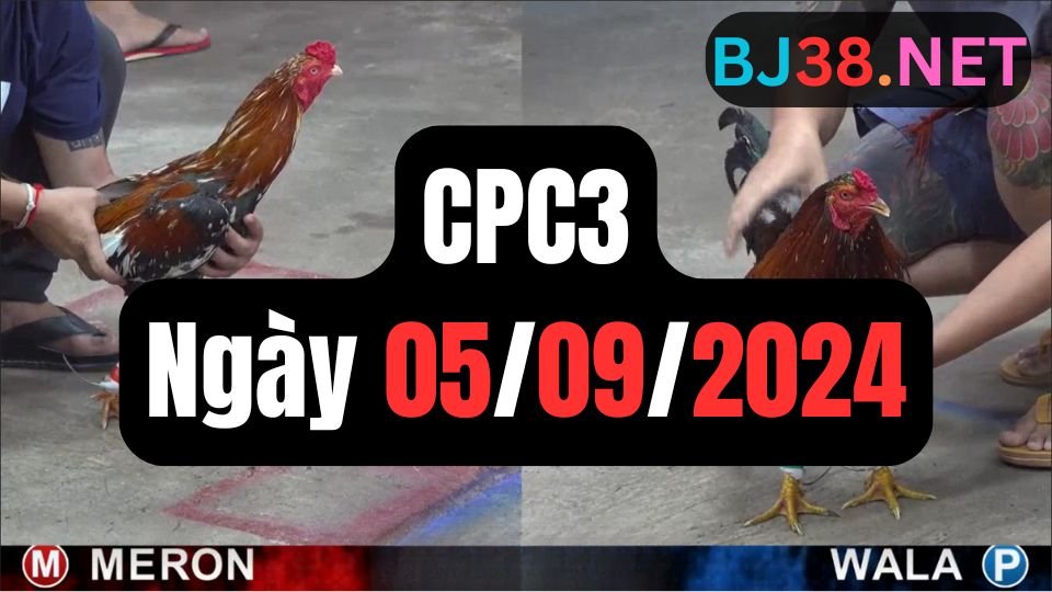 Trực tiếp đá gà thomo hôm nay CPC3 date 05/09/2024