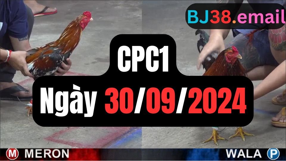 Trực tiếp đá gà thomo hôm nay CPC1 date 30/09/2024