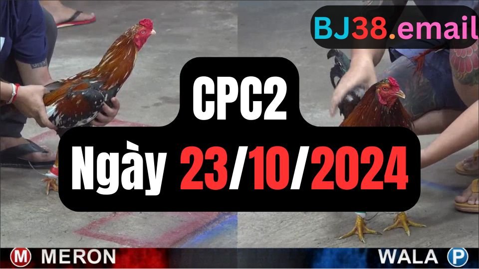 Trực tiếp đá gà thomo hôm nay CPC2 date 23/10/2024