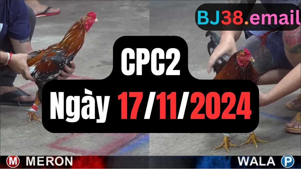 Trực tiếp đá gà thomo hôm nay CPC2 date 17/11/2024