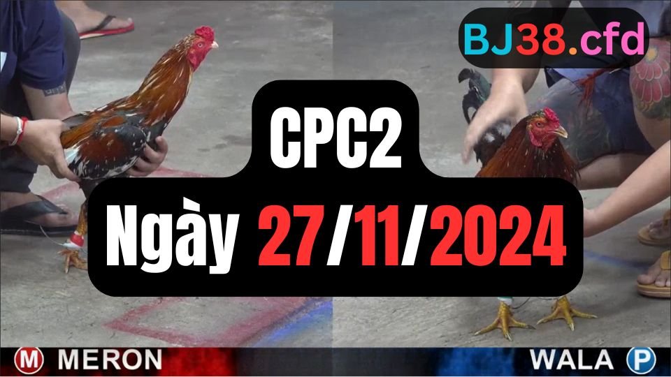 Trực tiếp đá gà thomo hôm nay CPC2 date 27/11/2024