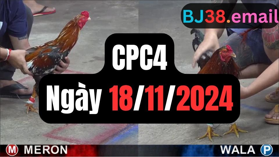 Trực tiếp đá gà thomo hôm nay CPC4 date 18/11/2024